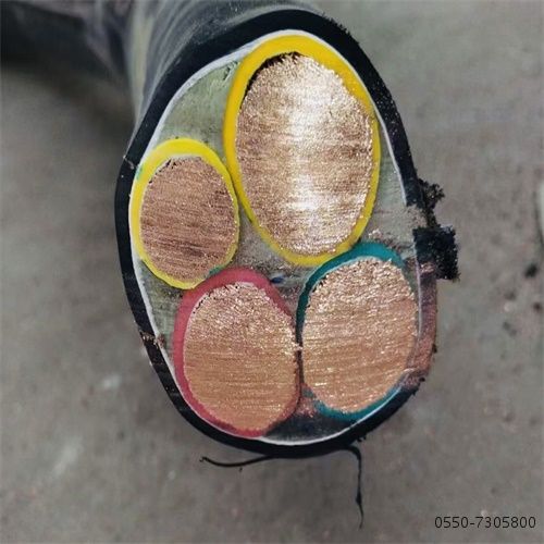 ÌØÖÖµçÀ³§¼Ò15.jpg ÌØÖÖµçÀ³§¼Ò15.jpg