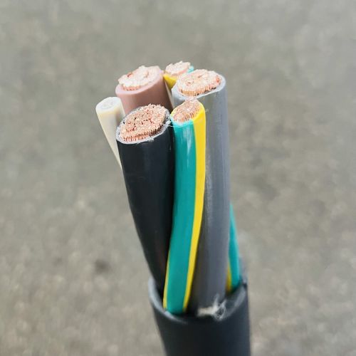 IMG_5331.jpg IMG_5331.jpg