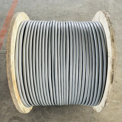 IMG_2203.jpg IMG_2203.jpg