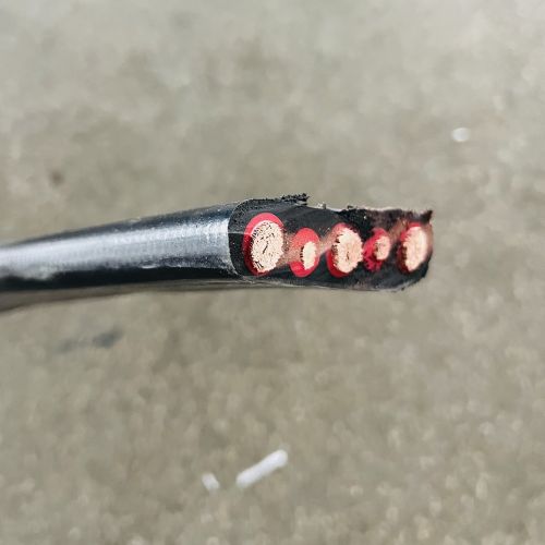 IMG_6112.jpg IMG_6112.jpg