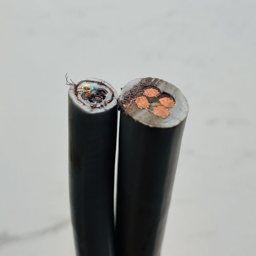 IMG_3195.jpg IMG_3195.jpg