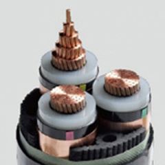 201703151345264219 201703151345264219