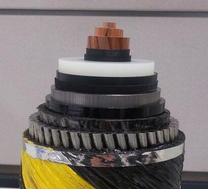 201703151350511240 201703151350511240