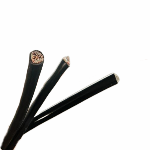 20241113121636204 20241113121636204