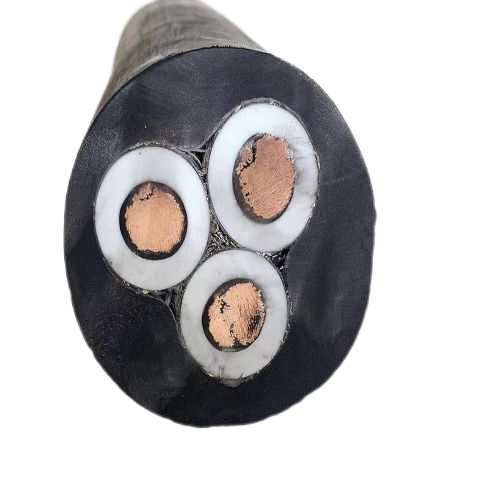 202411141513054217 202411141513054217