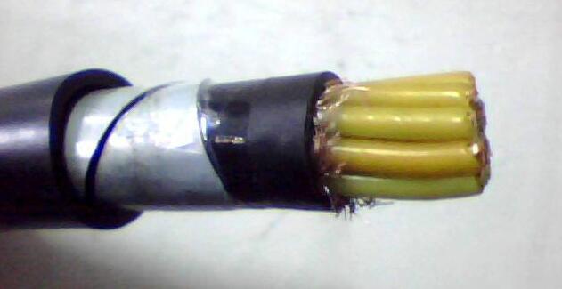 欧亚国际(中国集团)·官方网站