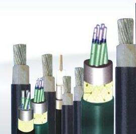 欧亚国际(中国集团)·官方网站