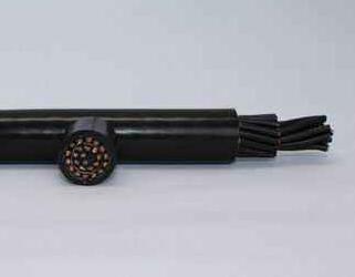 欧亚国际(中国集团)·官方网站