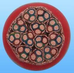 欧亚国际(中国集团)·官方网站