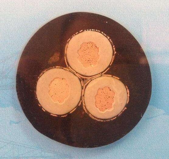 欧亚国际(中国集团)·官方网站