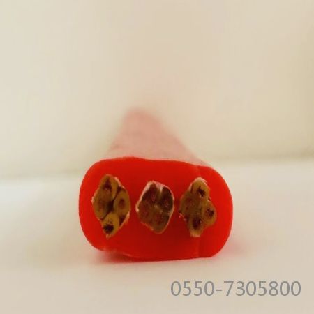 欧亚国际(中国集团)·官方网站