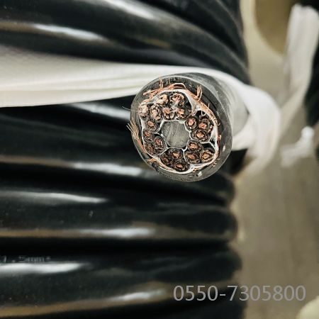 欧亚国际(中国集团)·官方网站