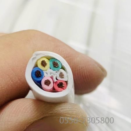 欧亚国际(中国集团)·官方网站