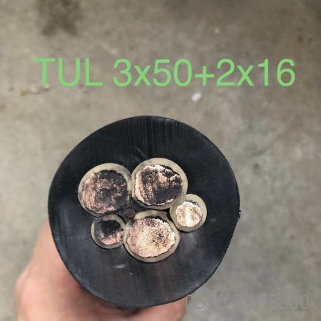 欧亚国际(中国集团)·官方网站