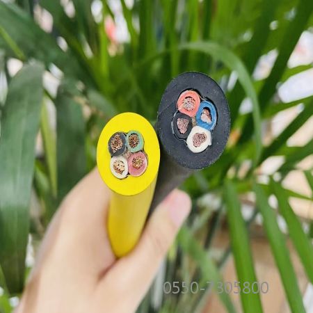 欧亚国际(中国集团)·官方网站