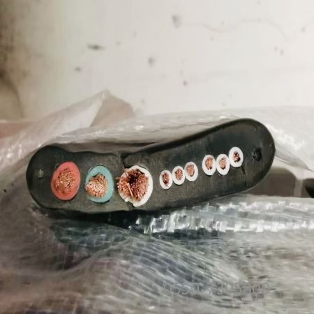 欧亚国际(中国集团)·官方网站