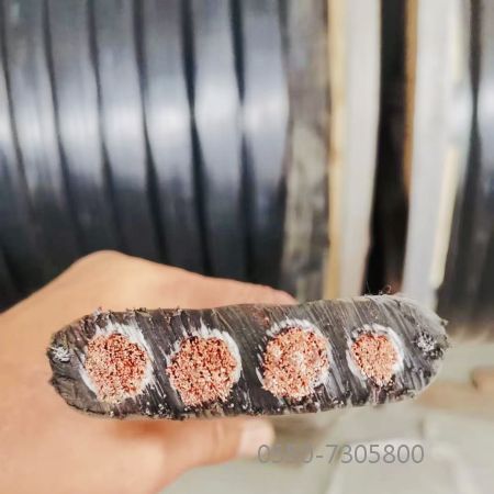 欧亚国际(中国集团)·官方网站