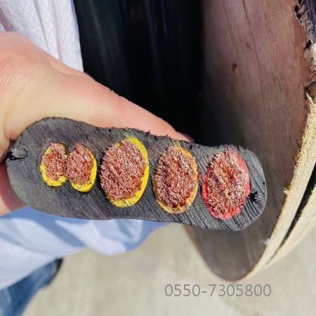 欧亚国际(中国集团)·官方网站