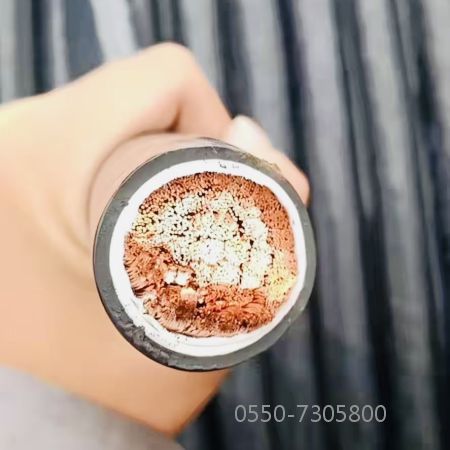 欧亚国际(中国集团)·官方网站