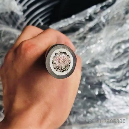 欧亚国际(中国集团)·官方网站