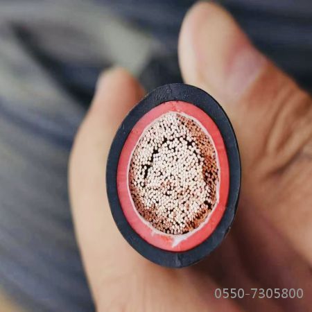 欧亚国际(中国集团)·官方网站