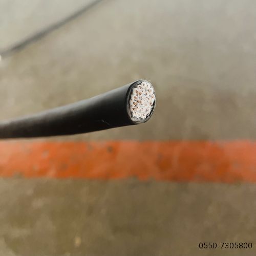 欧亚国际(中国集团)·官方网站