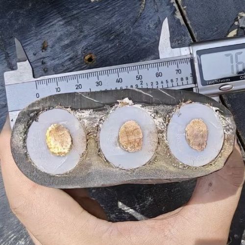 欧亚国际(中国集团)·官方网站