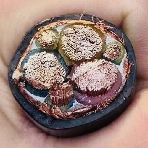 欧亚国际(中国集团)·官方网站