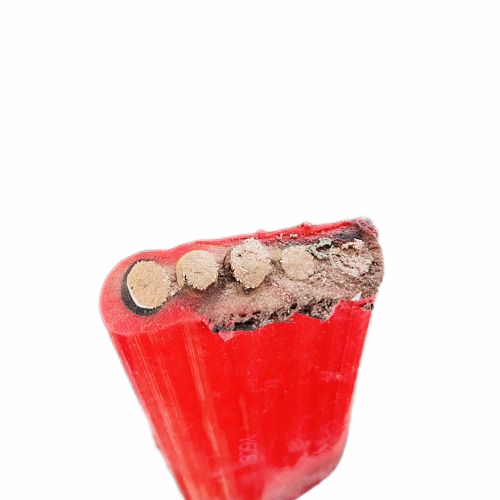 欧亚国际(中国集团)·官方网站