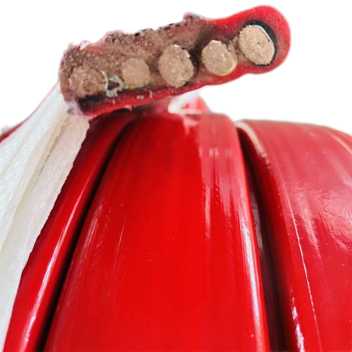 欧亚国际(中国集团)·官方网站