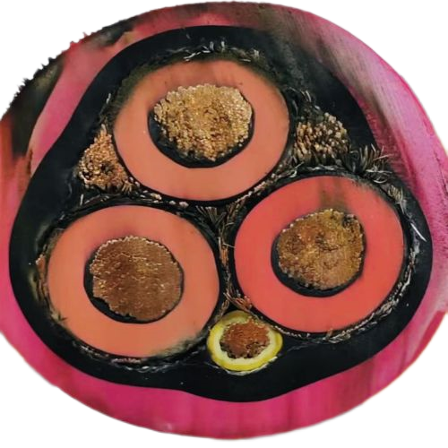 欧亚国际(中国集团)·官方网站