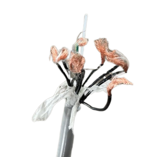 欧亚国际(中国集团)·官方网站