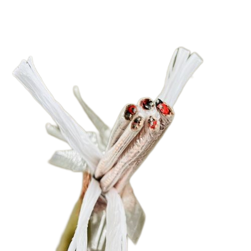 ŷ�ǹ���(�й�����)���ٷ���վ