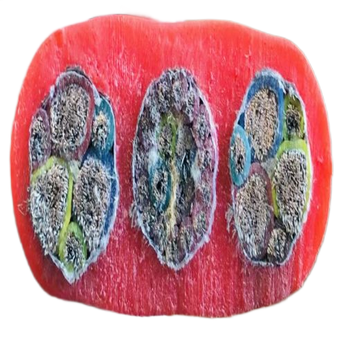 欧亚国际(中国集团)·官方网站