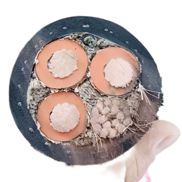 欧亚国际(中国集团)·官方网站