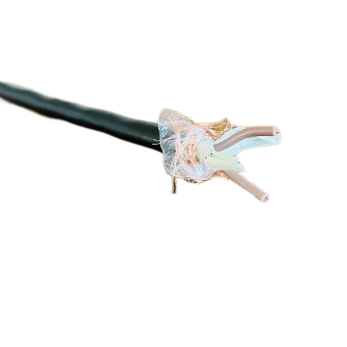 ŷ�ǹ���(�й�����)���ٷ���վ