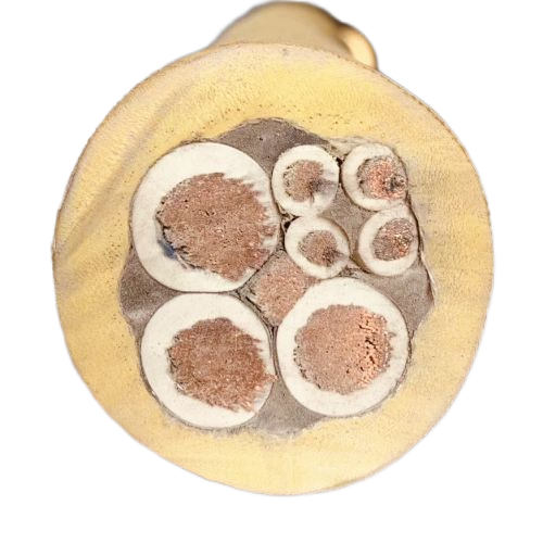 欧亚国际(中国集团)·官方网站