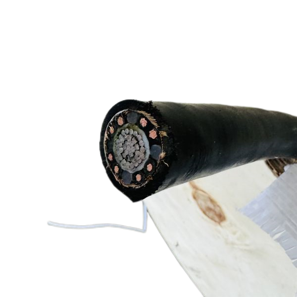 欧亚国际(中国集团)·官方网站