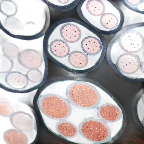 欧亚国际(中国集团)·官方网站