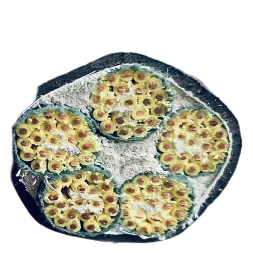 欧亚国际(中国集团)·官方网站