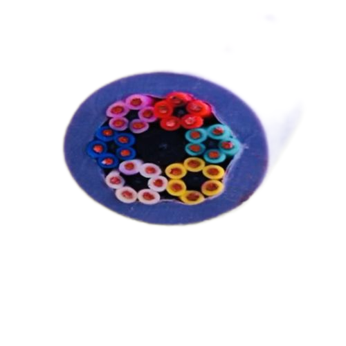 欧亚国际(中国集团)·官方网站