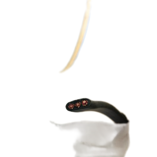 欧亚国际(中国集团)·官方网站