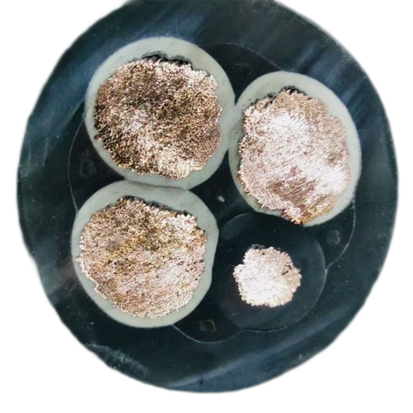 欧亚国际(中国集团)·官方网站