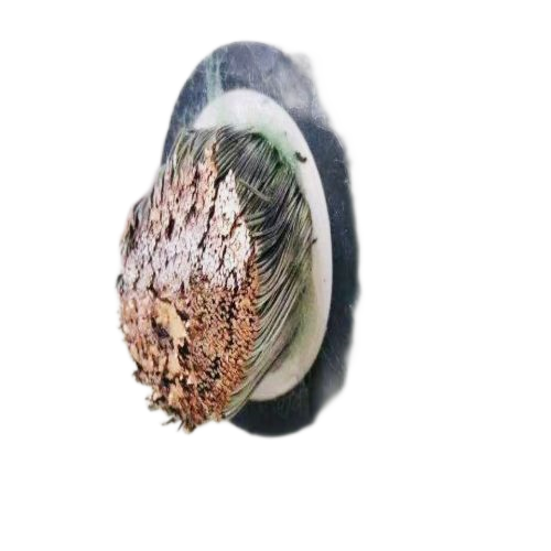 欧亚国际(中国集团)·官方网站