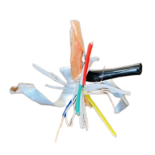 欧亚国际(中国集团)·官方网站