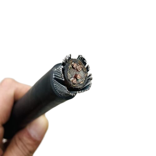 欧亚国际(中国集团)·官方网站