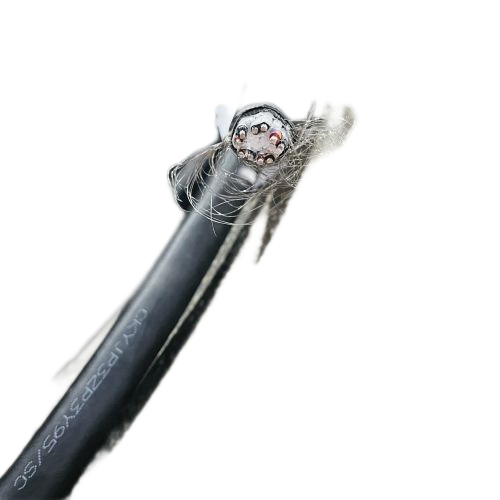 欧亚国际(中国集团)·官方网站