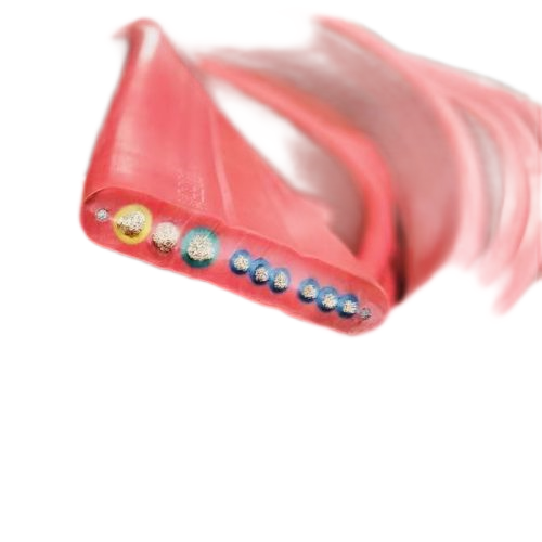 欧亚国际(中国集团)·官方网站