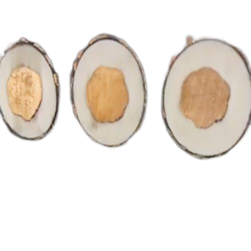 欧亚国际(中国集团)·官方网站