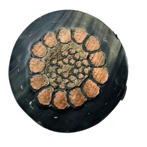 欧亚国际(中国集团)·官方网站